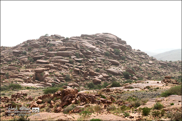 بادية بللسمر (خارف)