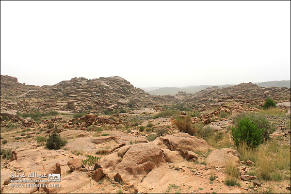 بادية بللسمر (خارف)