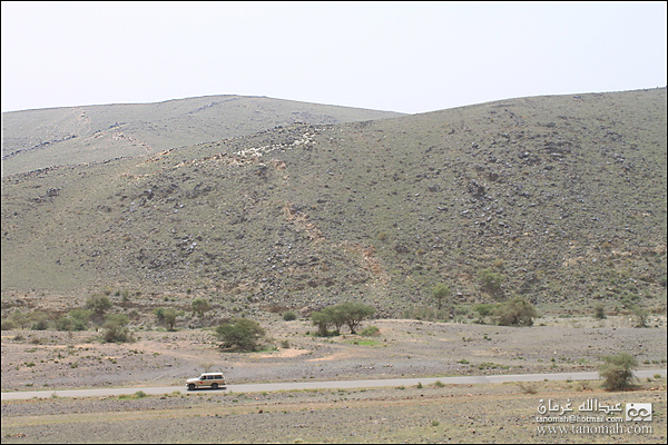 بادية بللسمر (خارف)