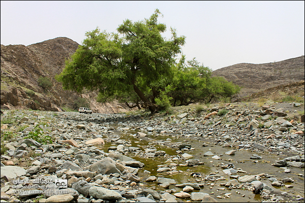 مناظر من  وادي عيا