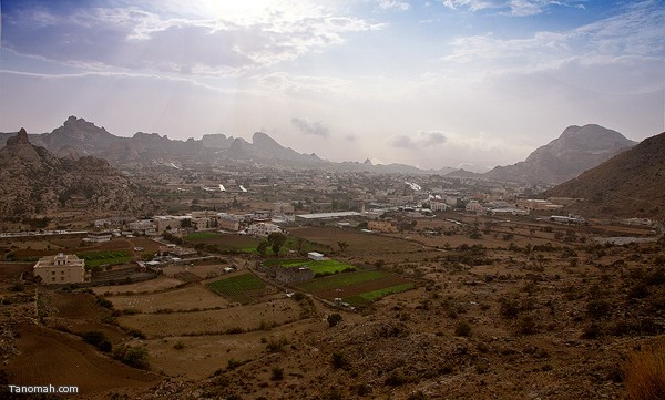 تنومة ( عدسة رائد عثمان)