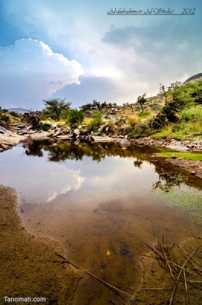 صور منوعة - عدسة عبدالرحمن الشهري