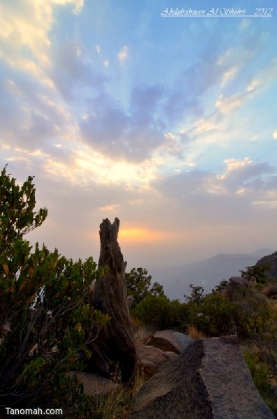 صور منوعة - عدسة عبدالرحمن الشهري