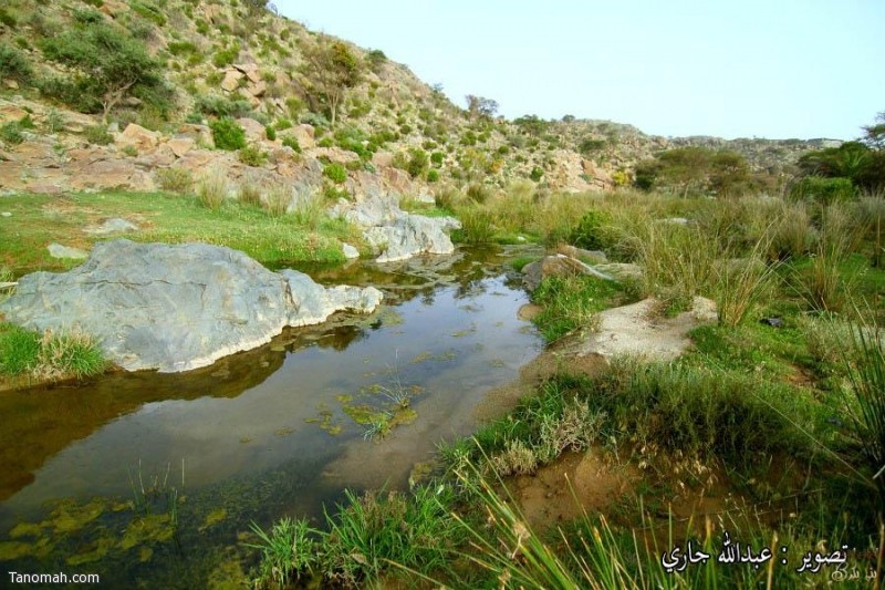 وادي شعبان يقع شرق النماص -عدسة عبدالله جاري