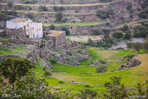 قرية أثرية في بللسمر - عدسة بن جاري