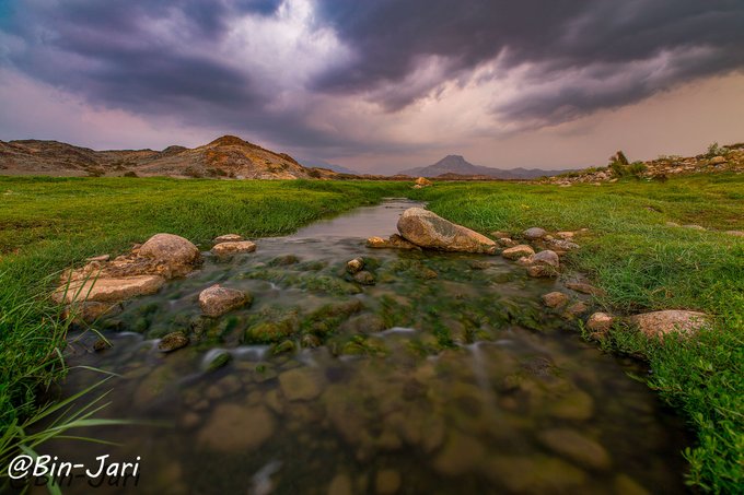 وادي البرداني في #بارق ..تصوير: عبدالله جاري