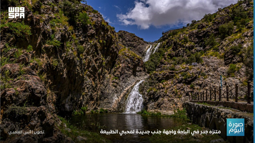 #الباحة