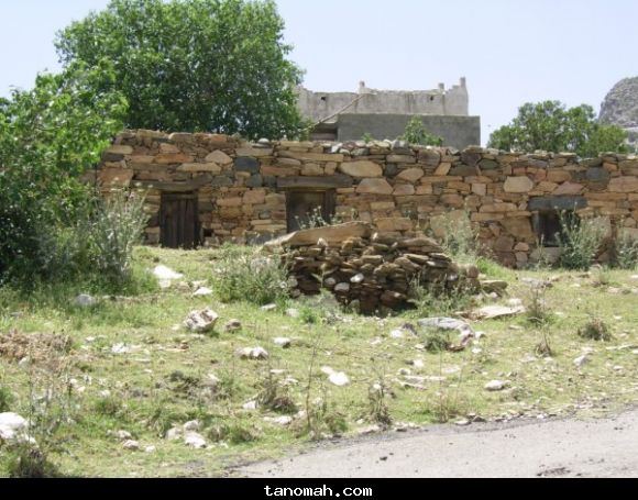 مناظر من تنومة 84