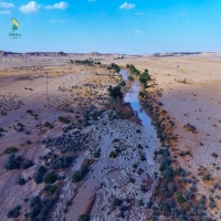 شعيب الحفنة في #الرياض.
