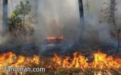 صاعقة رعدية تشب حريقاً في احد الجبال شمال تنومة