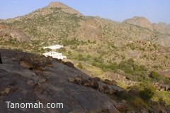 نمر عربي في جبال منعا وفريق من هيئة حماية الحياة الفطرية يتواجد بالموقع