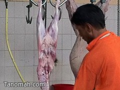 بلدية تنومة تجهز مسلخها لذبح الأضاحي بلدية تنومة تجهز مسلخها لذبح الأضاحي
