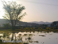 امطار على تنومة والنماص