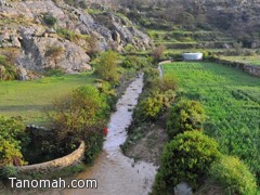 امطار على تنومة والنماص وبللسمر