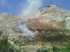 حريق في غابات جبل منعاء والدفاع المدني يحاول السيطرة عليه
