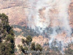 مصدر مطلع : حريق تنومة أخمد في الصباح ثم عاد  للإشتعال  