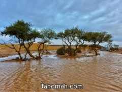 صور للأمطار التي شهدتها بعض مدن المملكة