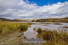 صور أول "سيل" يحتضنه "سد وادي ترج" 