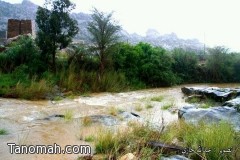 تقرير مصور عن أمطار السبت 1435/5/28هـ (بللسمر - تنومة -النماص)