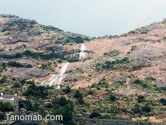 بالصور ... أمطار على تنومة