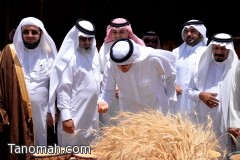 اعتماد مهرجاني البر والأسر المنتجة ببللسمر