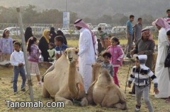 الرعي والزراعة في القرية التراثية بمنتزه السودة