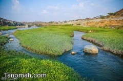 الطحاحين .. جمال الطبيعة والمياه الجارية