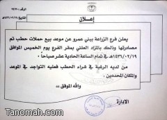 زراعة بني عمرو تضبط كميات من "الحطب" وتبيعها بالمزاد