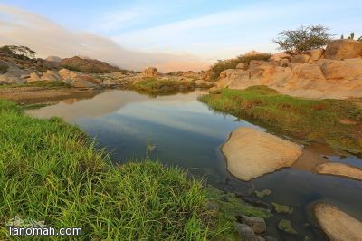 صور من وادي "الغيناء"