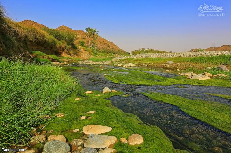 رحلة ضوئية مع الفوتوغرافي علي أحمد