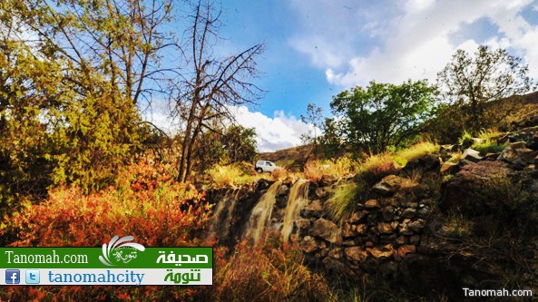 صور من أمطار الباحة