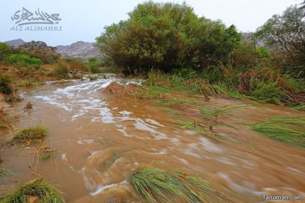 الأرصاد تتوقع هطول أمطار رعدية على المرتفعات الجنوبية