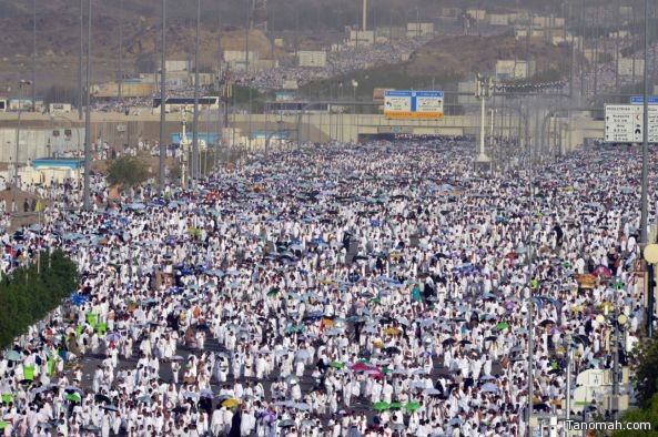 ضيوف الرحمن يتوافدون إلى صعيد عرفات الطاهر