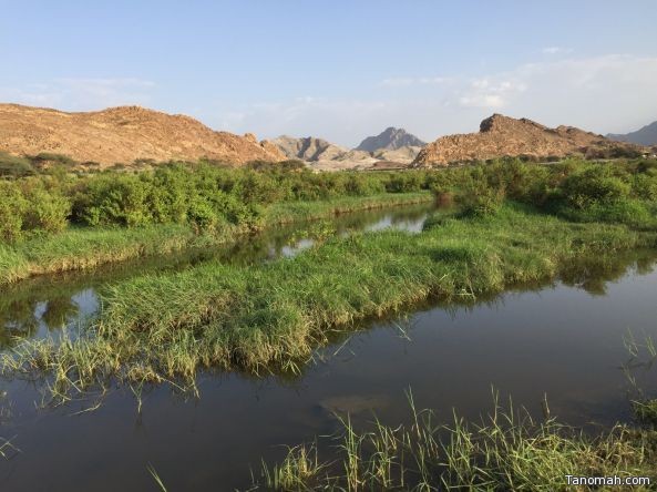 بالفيديو:"الطحاحين" خضرة دائمة ومياه جارية