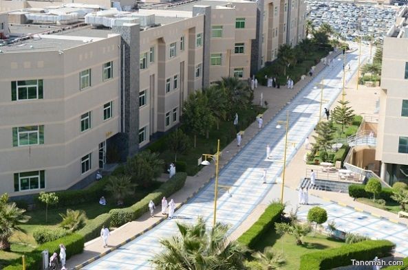 #ورشة_عمل "مشاكل قرود البابون في المملكة" تنطلق غداً في #أبها #ورشة_عمل "مشاكل قرود البابون في المملكة" تنطلق غداً في #أبها