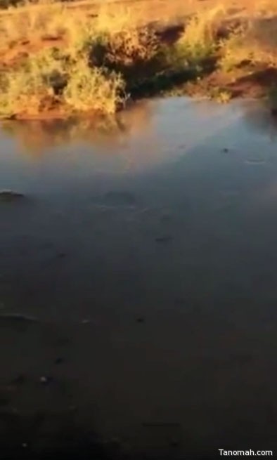 فيديو: تجمد المياه في أودية حائل