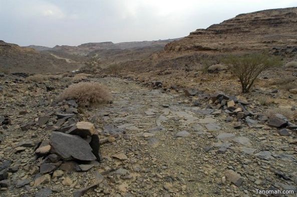 سياحة عسير تنهي مسح وتوثيق وتبتير مسار درب الفيل سياحة عسير تنهي مسح وتوثيق وتبتير مسار درب الفيل