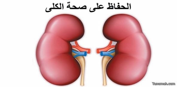 نصائح بسيطة لتحسين وظائف وصحة الكلى