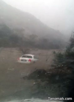 بالفيديو:السيول تجرف سيارة إلى قعر سد "غالبة" بعد نجاة قائدها
