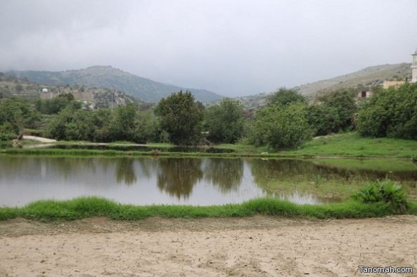 الماء والخضرة في وادي "آل فليته" بـ #تنومة