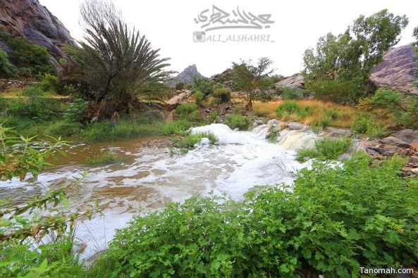 لقطات (فيديو) من سيل وادي قرية "آل خضاري" في #تنومة رابع أيام نوء المرزم