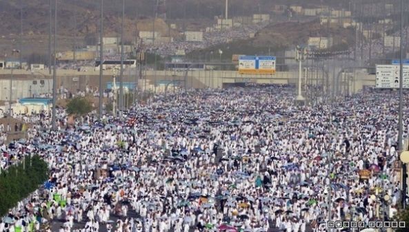 إطلاق بوابة «أجير» للوظائف المؤقتة في موسم الحج