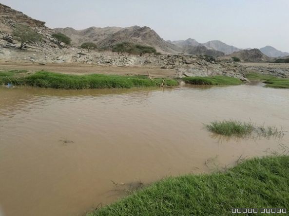 غرق شاب في غدير بمحافظة محايل ..