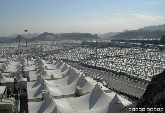 تجهيز ١٨ ألف خيمة للحجاج في عرفات بـ55 مليون ريال