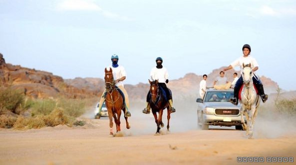 " القرشي " و" مكة " يفوزان بسباق التحمل على كأس أمير عسير