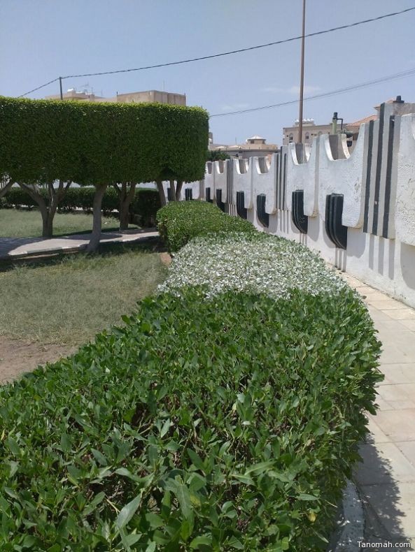 بلدية الخميس تجهز الحدائق لاستقبال العيد