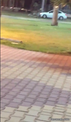 بلفيديو:شاب يمارس #التفحيط داخل حديقة بـ #أبها