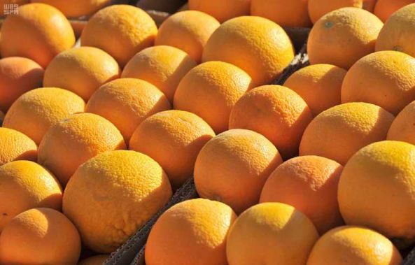 البرتقال .. ثمرة الفيتامينات الطبيعية