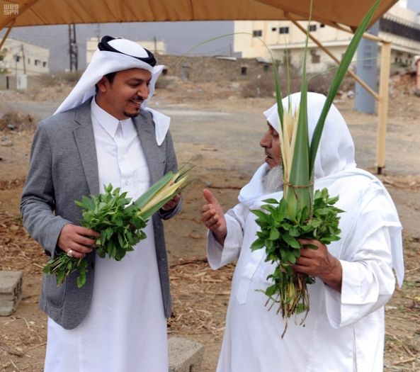 مزارع قرية ذي عين الأثرية بالمخواة تنتج 72 ألف كيلو جرام من الموز و20 ألف عذق من الكادي