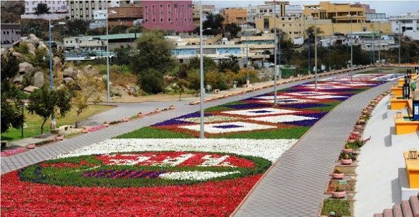 بالصور:سجادة زهور بمساحة 26 ألف متر مربع تنفذها #أمانة_عسير